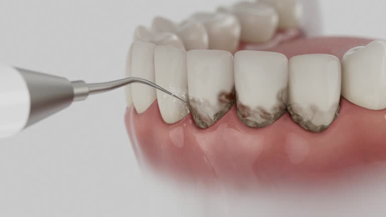 Reliable Dental contractor in USA by Dentist Open Now